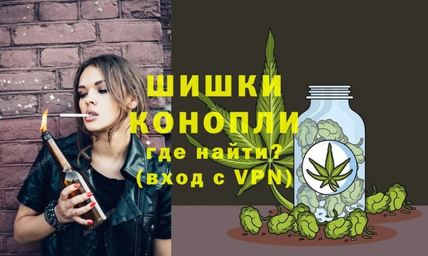 меф Дмитриев