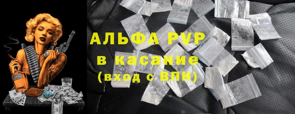 дмт Богданович