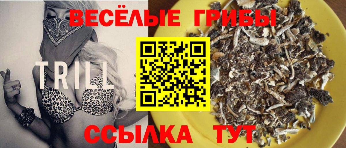 даркнет сайт  Вход с VPN  Карачаевск  Псилоцибиновые грибы GOLDEN TEACHER 