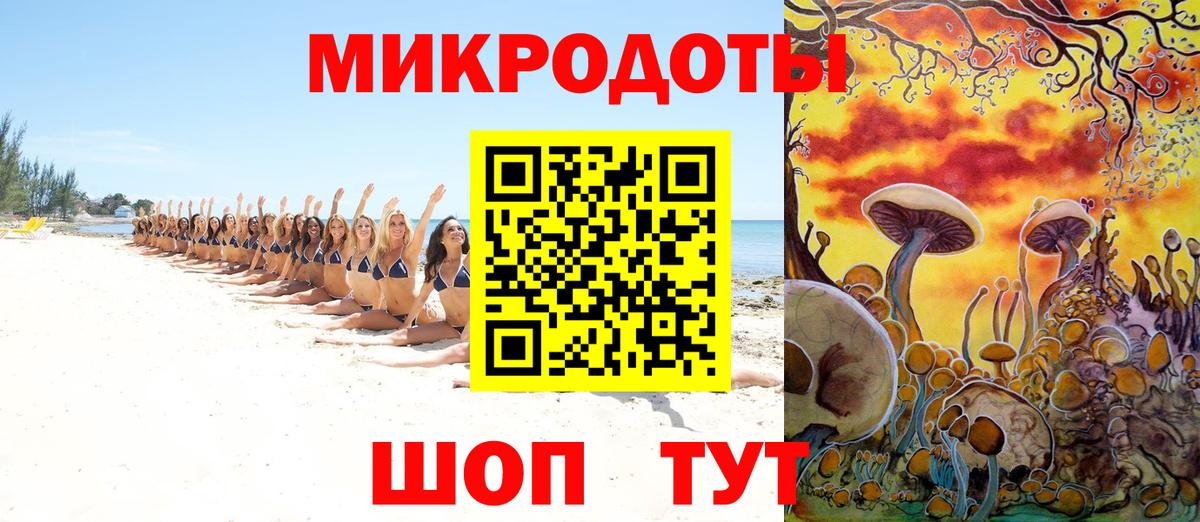 Галлюциногенные грибы Psilocybe Карачаевск